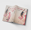 Book Cover Design